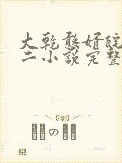 大乾憨婿皖南牛二小说完整版