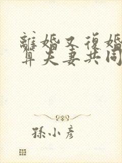 离婚又复婚财产算夫妻共同财产吗?