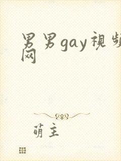 男男gay视频网