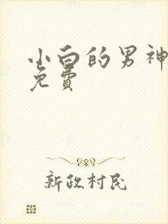 小白的男神爹地免费
