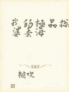 我的极品总裁老婆秦海