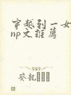 穿越到一女多夫np文推荐