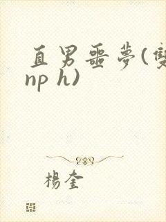直男噩梦(双性np h)封面