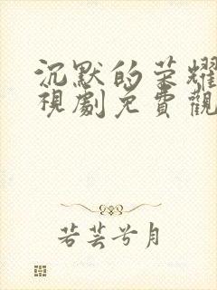 沉默的荣耀 电视剧免费观看全集高清版