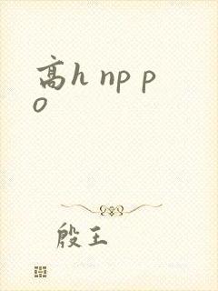高h np po