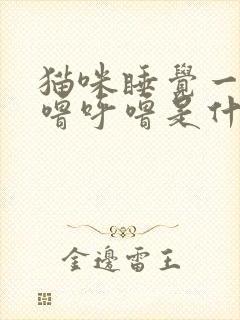猫咪睡觉一直呼噜呼噜是什么意思