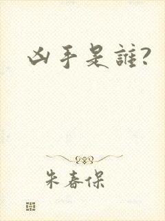 凶手是谁?