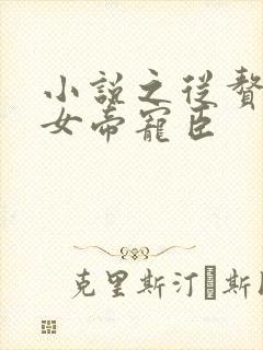 小说之从赘婿到女帝宠臣