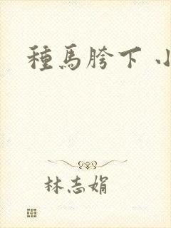 种马胯下 小说
