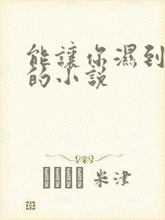 能让你湿到不行的小说