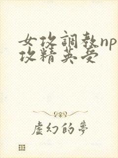 女攻调教np总攻精英受
