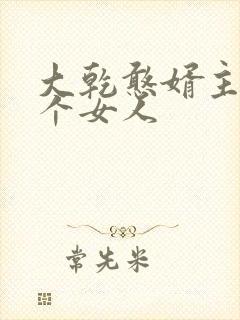 大乾憨婿主角几个女人