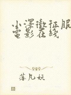 小泽彻征服人妻电影在线封面