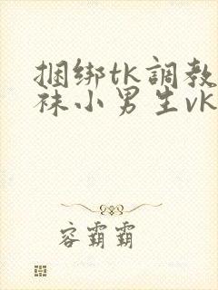 捆绑tk调教白袜小男生vk封面
