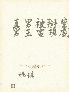 直男被掰弯的双男主电视剧封面