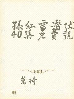 孙红雷潜伏完整40集免费观看