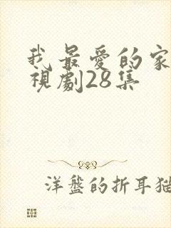 我最爱的家人电视剧28集