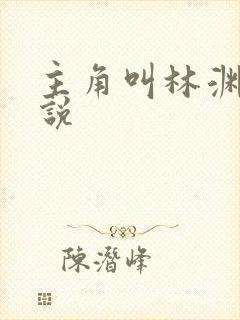 主角叫林渊的小说