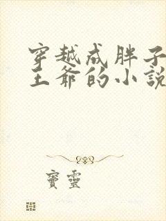 穿越成胖子嫁给王爷的小说