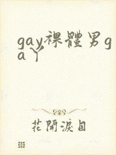 gay裸体男ga丫