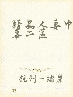 精品人妻中文字幕二区