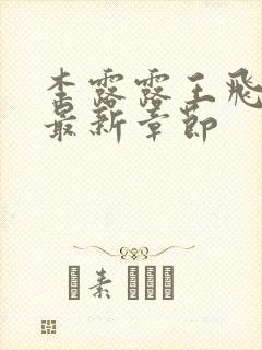 李露露王飞小说最新章节封面
