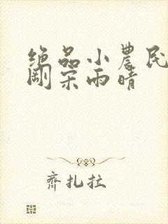 绝品小农民赵小刚宋雨晴封面