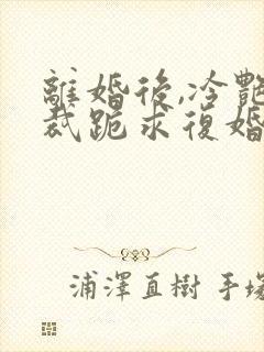 离婚后,冷艳总裁跪求复婚下载txt下