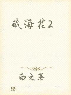 藏海花2