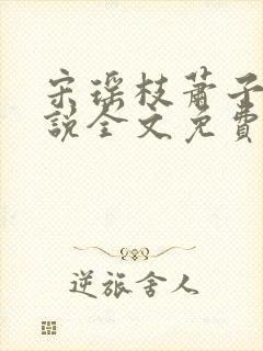 宋瑶枝萧子骞小说全文免费阅读