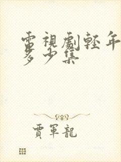 电视剧轻年一共多少集