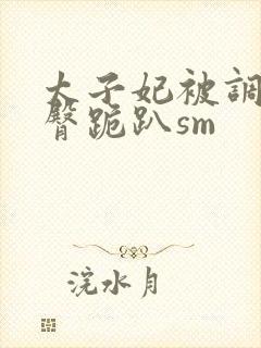 太子妃被调教裸臀跪趴sm封面
