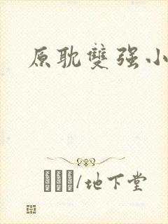 原耽双强小说封面