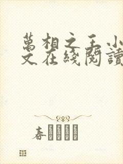 万相之王小说全文在线阅读