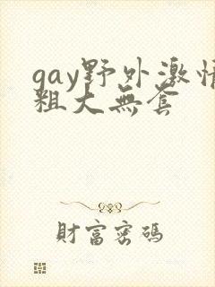 gay野外激情粗大无套