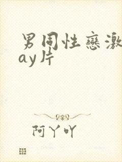 男同性恋激情gay片封面