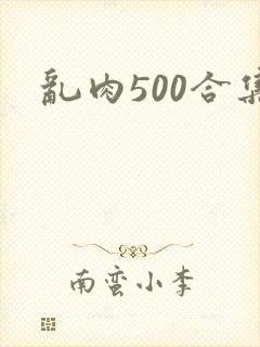 乱肉500合集