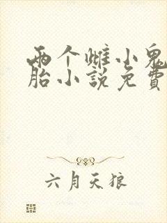 两个雌小鬼双胞胎小说免费阅读