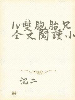 1v双胞胎兄弟全文阅读小说