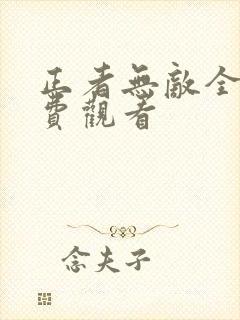 正者无敌全集免费观看封面