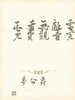 正者无敌电视剧免费观看完整版封面