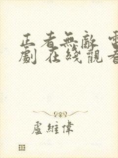 正者无敌 电视剧 在线观看封面
