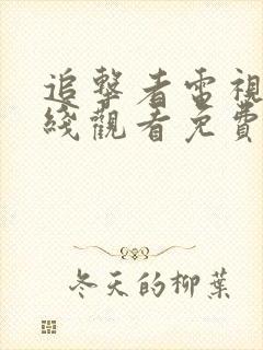 追击者电视剧在线观看免费高清