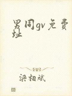 男同gv免费网址封面