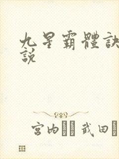 九星霸体诀 小说
