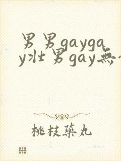 男男gaygay壮男gay无套