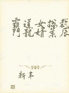 霸道女总裁的上门龙婿叶辰