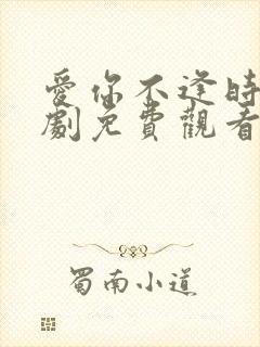 爱你不逢时 短剧免费观看