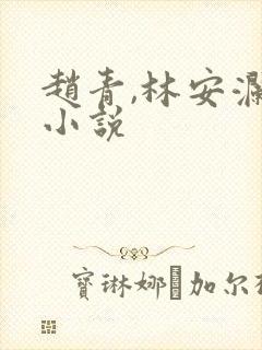 赵青,林安澜的小说