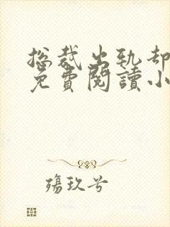 总裁出轨却成瘾免费阅读小说